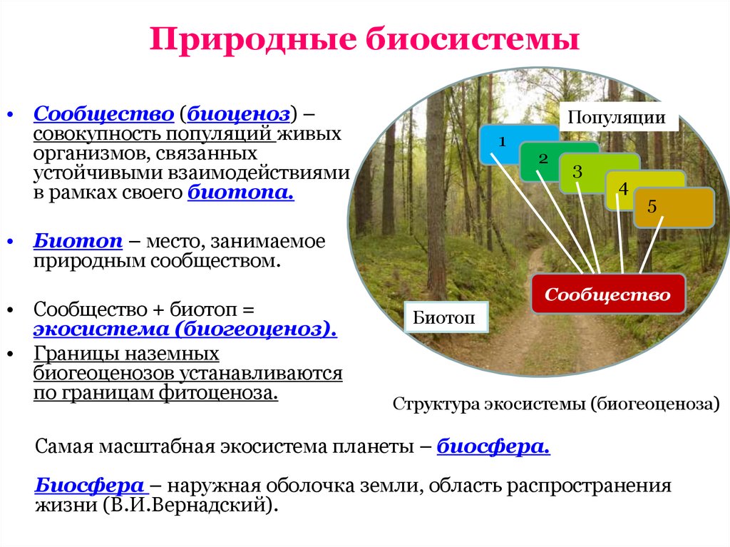 Устойчивость природной экосистемы. Разновидности биосистем. Схема биосистемы. Понятие биосистемы. Организм популяция сообщество.