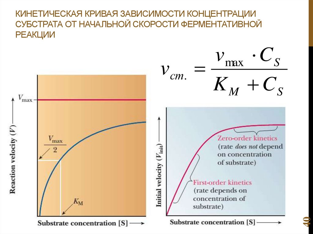 Кинетическая кривая зависимости концентрации субстрата от начальной скорости ферментативной реакции