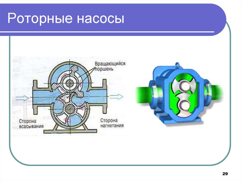 Роторный насос схема