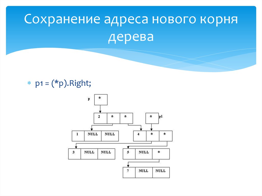 Новый корень. Корневое двоичное дерево. Корень дерева в математике. Что является корнем «дерева зависимости»?. Код корневого дерева.