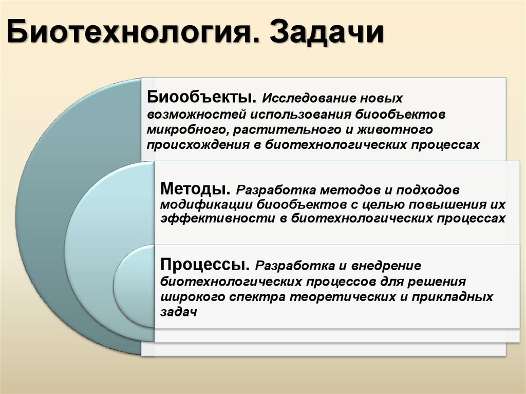 Презентация по теме биотехнология 10 класс