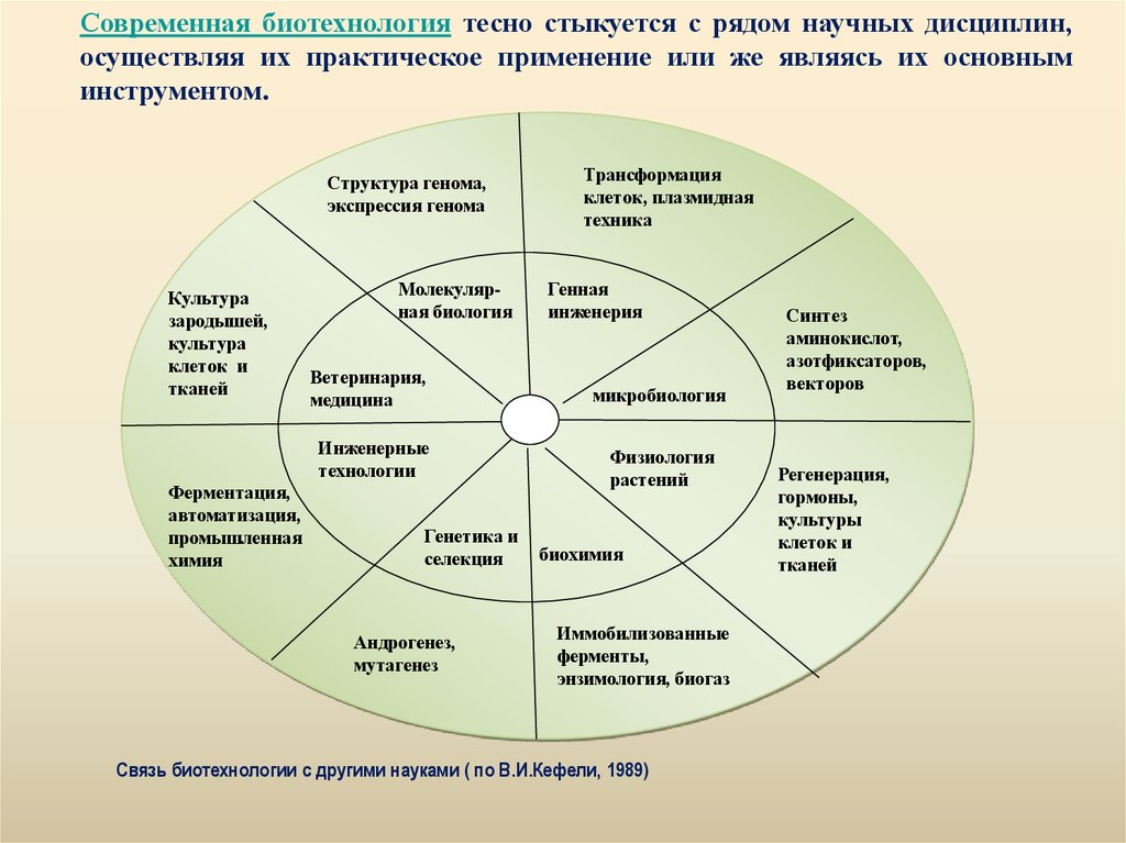 Чей пример другим наука. Связь биотехнологии с другими науками. Связь биотехнологии с другими дисциплинами. Взаимосвязь биотехнологии с другими науками. Взаимосвязь науки биологии с другими науками.