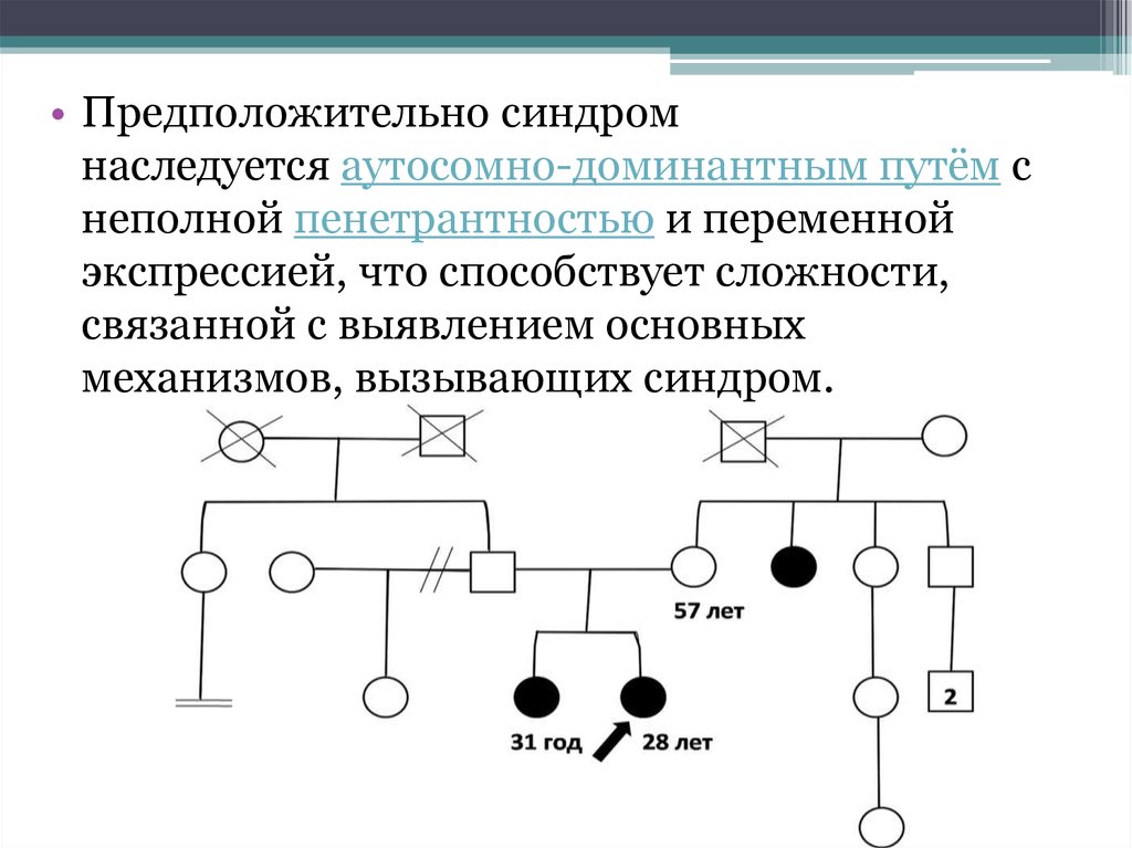 Как наследуется доминантный признак. Аутосомно- доминантное с неполной пенетрантностью. Аутосомно-доминантный Тип наследования болезни Виллебранда. Аутосомно-рецессивный Тип наследования с неполной пенетрантностью. Аутосомно доминантный признак с неполной пенетрантностью.