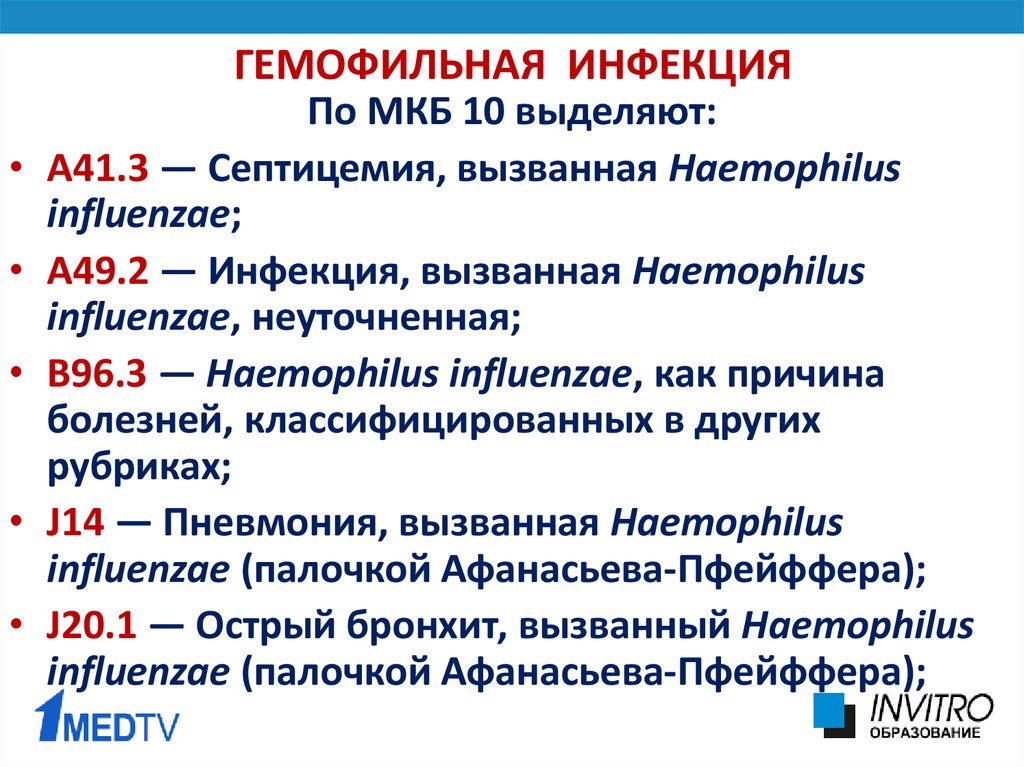 Haemophilus influenzae 10