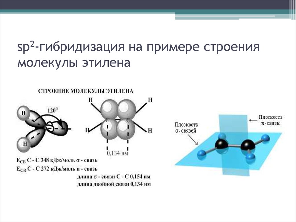 sp2-гибридизация на примере строения молекулы этилена