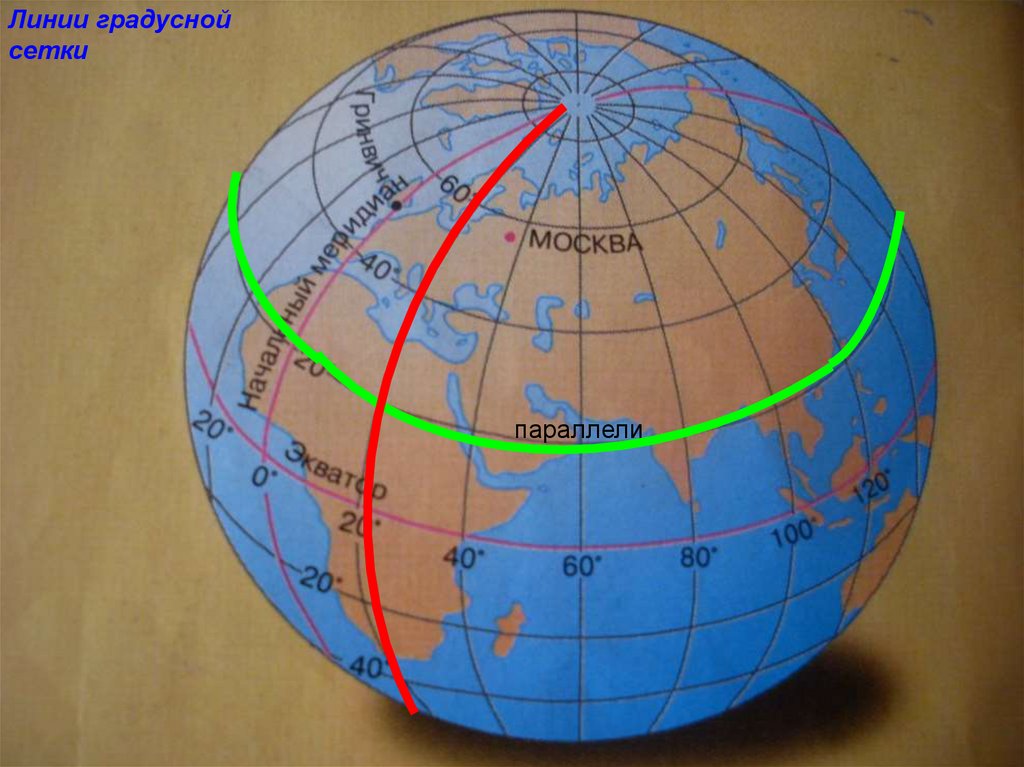 Градусная сетка географические координаты 5 класс. Глобус с градусной сеткой. Меридианы на глобусе. Градусная сетка на глобусе и карте. Глобус с широтами.