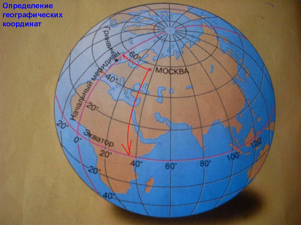 Географическая сетка координат 5 класс. Глобус с градусной сеткой. Меридианы на глобусе. Градусная сетка на глобусе и карте. Глобус с широтами.