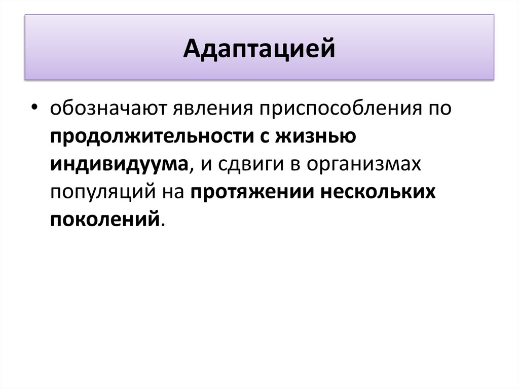 Способ адаптации к жизни неповторимая картина существования индивидуума