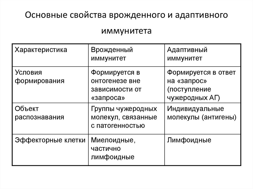 Схема противоопухолевого иммунитета включающая факторы врожденного и адаптивного иммунитета