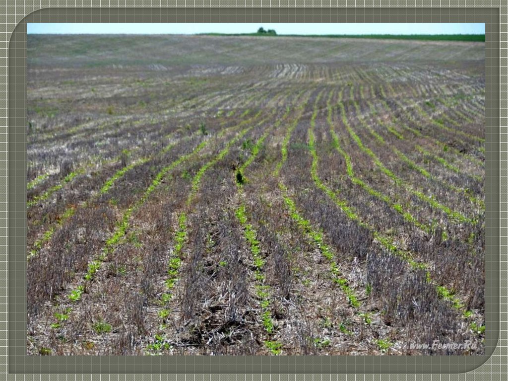 Технология no till презентация