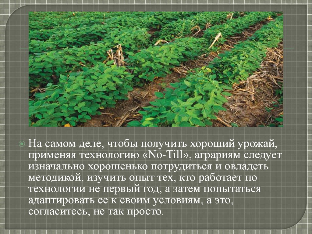 Технология no till презентация