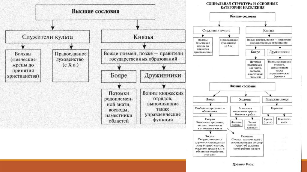 Социальная структура российского общества при екатерине