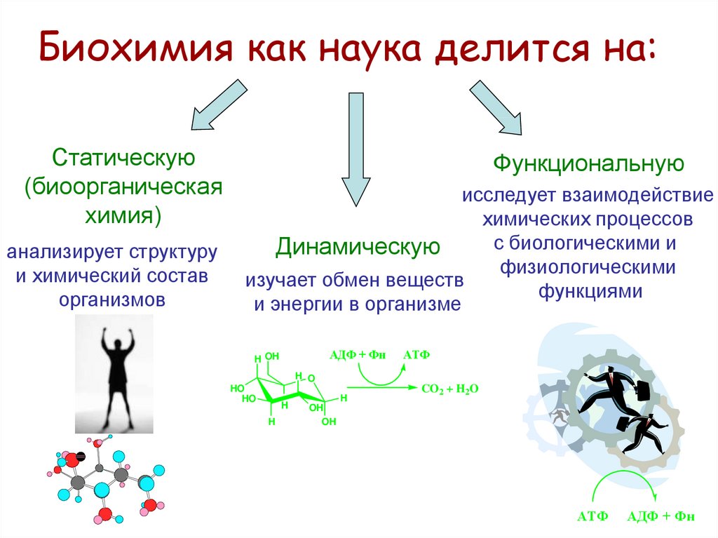 Вся биохимия в одной картинке