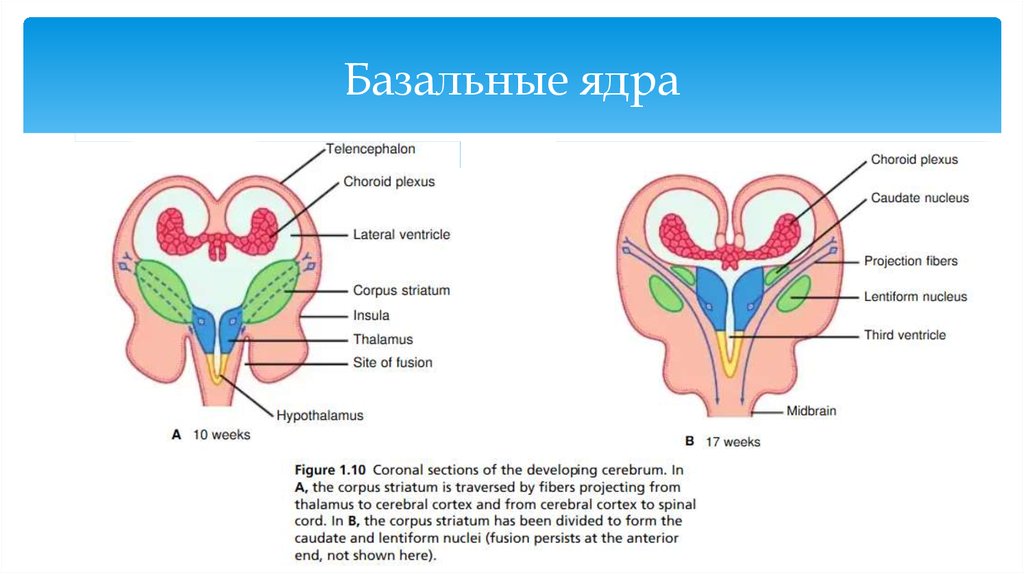 Схема ядра миндастри