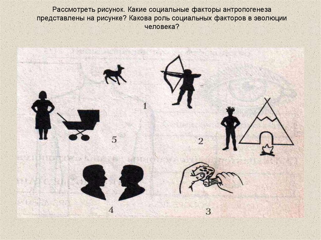 Определи какие иллюстрации