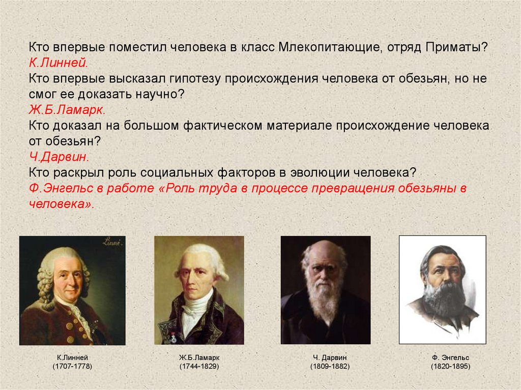 Кто впервые. Кто впервые поместил человека в отряд приматов. Кто впервые поместил человека в класс млекопитающие отряд приматы. Впервые поместил человека в один отряд с обезьянами. Гипотезы происхождения человека Линней.