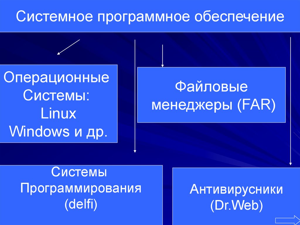 Системное программное обеспечение и системы программирования презентация