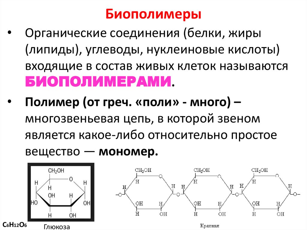 Структуры биополимера. Углеводы жиры липиды нуклеиновые кислоты. Мономеры и полимеры углеводов. Нуклеиновые кислоты полимеры состоящие из мономеров. Биополимеры углеводы липиды.