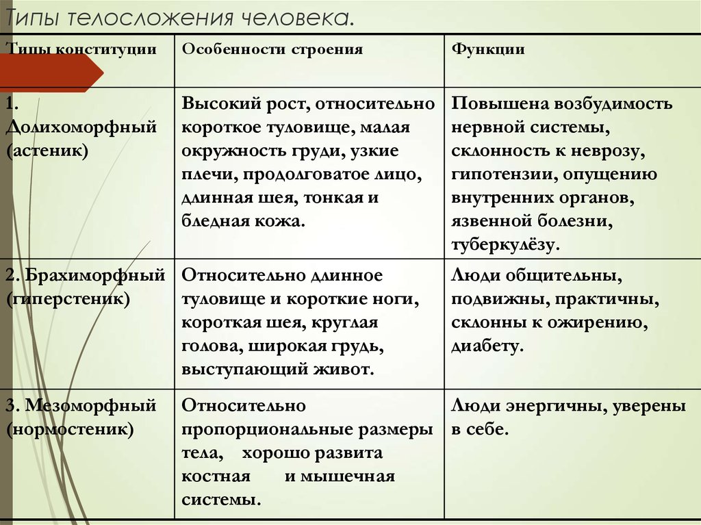 Какие особенности организма. Типы Конституции человека анатомия. Характеристика типов телосложения. Охарактеризуйте основные типы телосложения. Классификация типов Конституции человека.