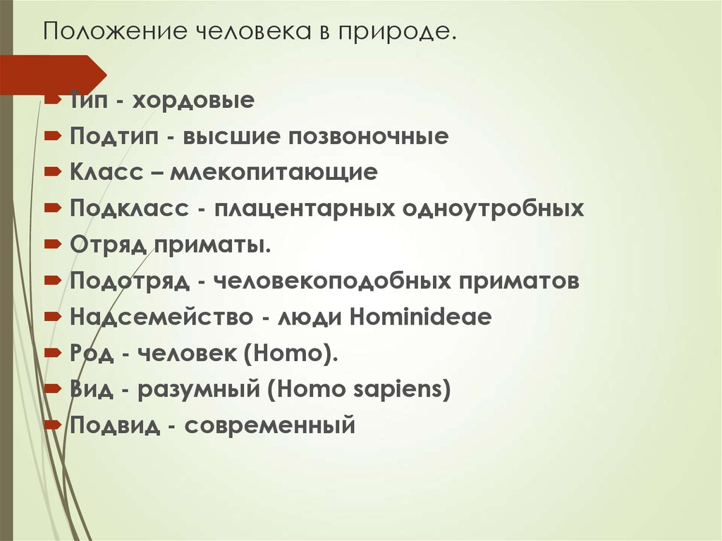 Положение человека в природе. Положение человека в системе животного мира. Система положения человека. Положение человека в природе анатомия.