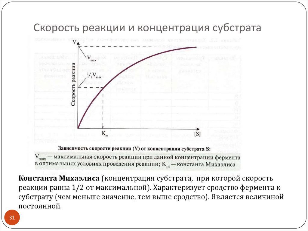 Зависимость скорости от концентрации график. Зависимость активности ферментов от концентрации субстрата. Зависимость скорости реакции от концентрации субстрата. Скорость при концентрации субстрата. Зависимость активности ферментов от концентрации фермента.