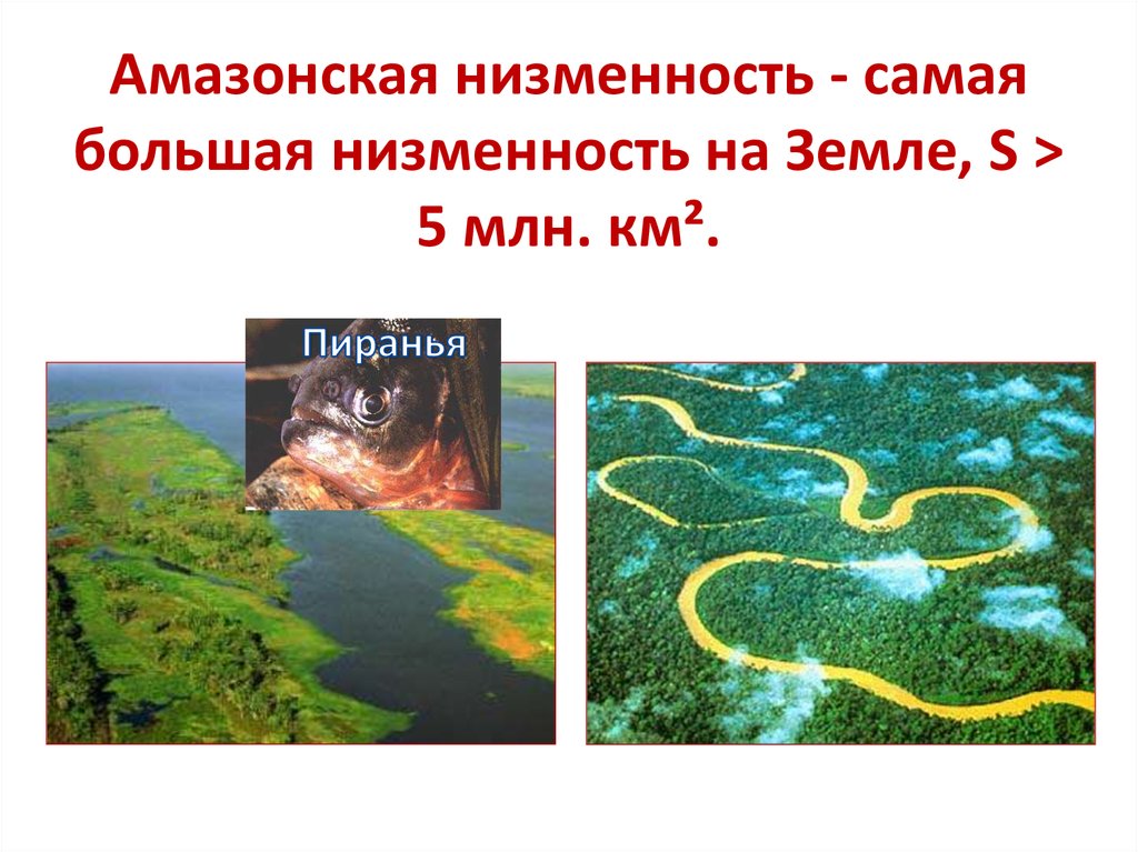 Амазонская низменность это самая. Крупнейшая низменность на земле. Низменности земли. Самая крупнейшая низменность на земле. Самая большая низменная равнина.