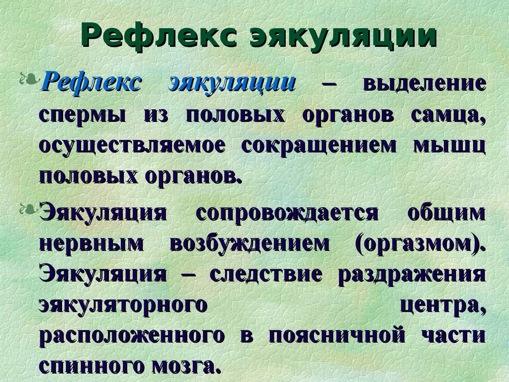 Физиологическая зрелость это. Эякуляторные рефлексы. Эякуляторный рефлекс. Рефлекс Семяизвержения. Эякуляторных рефлексов.