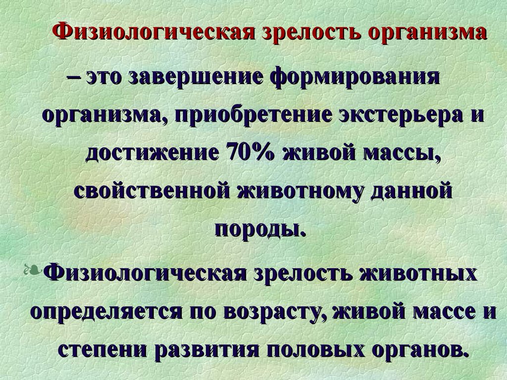 Физиологическая зрелость это. Половая и физиологическая зрелость. Половая и физиологическая зрелость животных. Половая и физиологическая зрелость КРС. Физиологическая зрелость у коров.