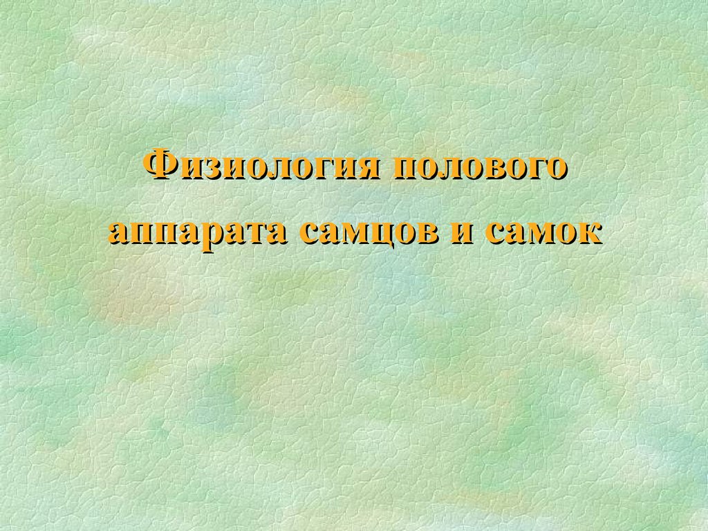 Физиологическая зрелость животных. Физиология половой деятельности самок.