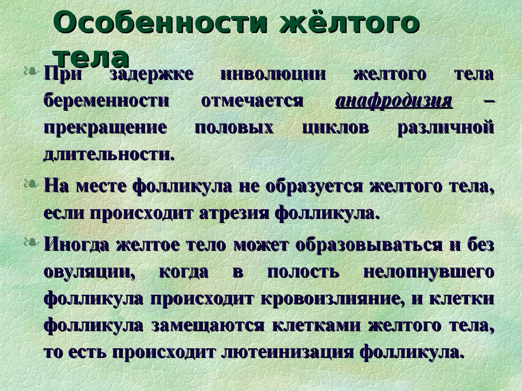 Бывшие желтые тела. Особенности желтых СМИ. Может ли быть жёлтых тела.