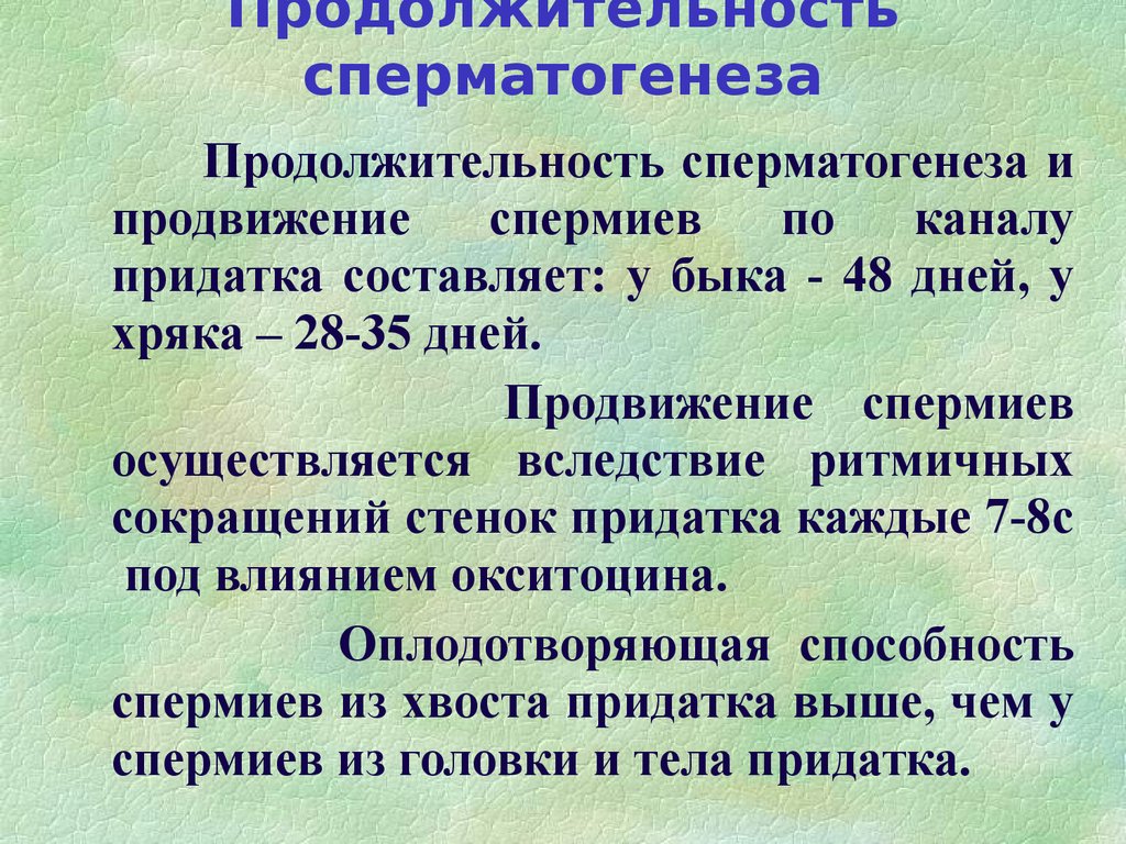 Физиологическая зрелость это