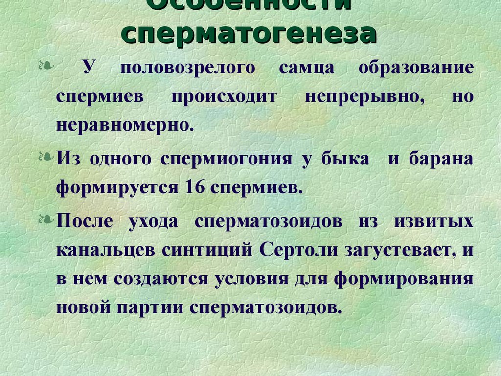 Физиологическая зрелость это. Половая и физиологическая зрелость. Половая и физиологическая зрелость КРС. Физиологическая зрелость у разных видов животных.