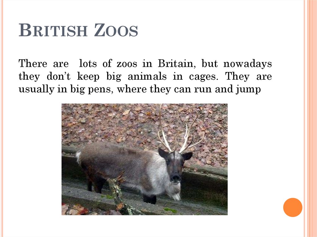 British Zoos