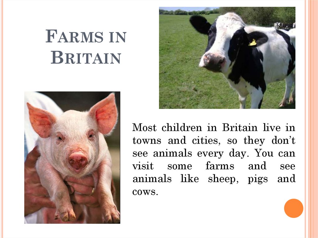 Farms in Britain