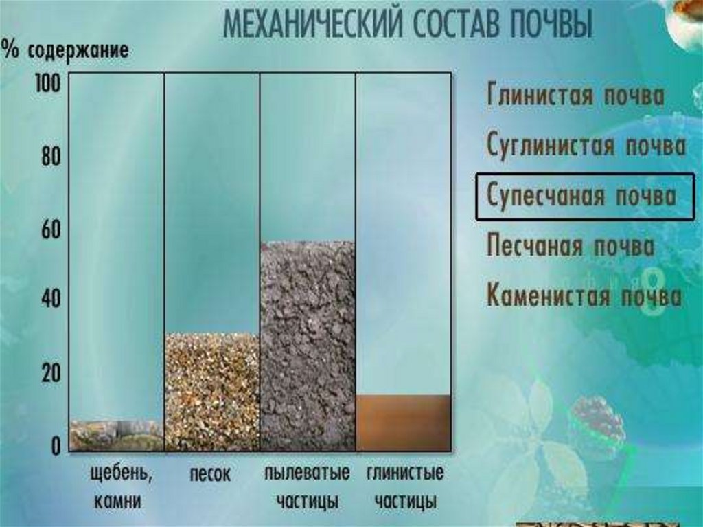 Толщина почвы. Состав почвы. Механическая структура почвы. Мехсостав почвы. Механический состав почвы.