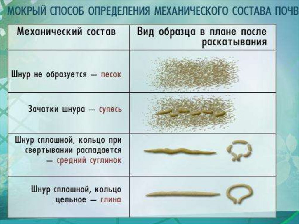 Определение механического состава почвы презентация