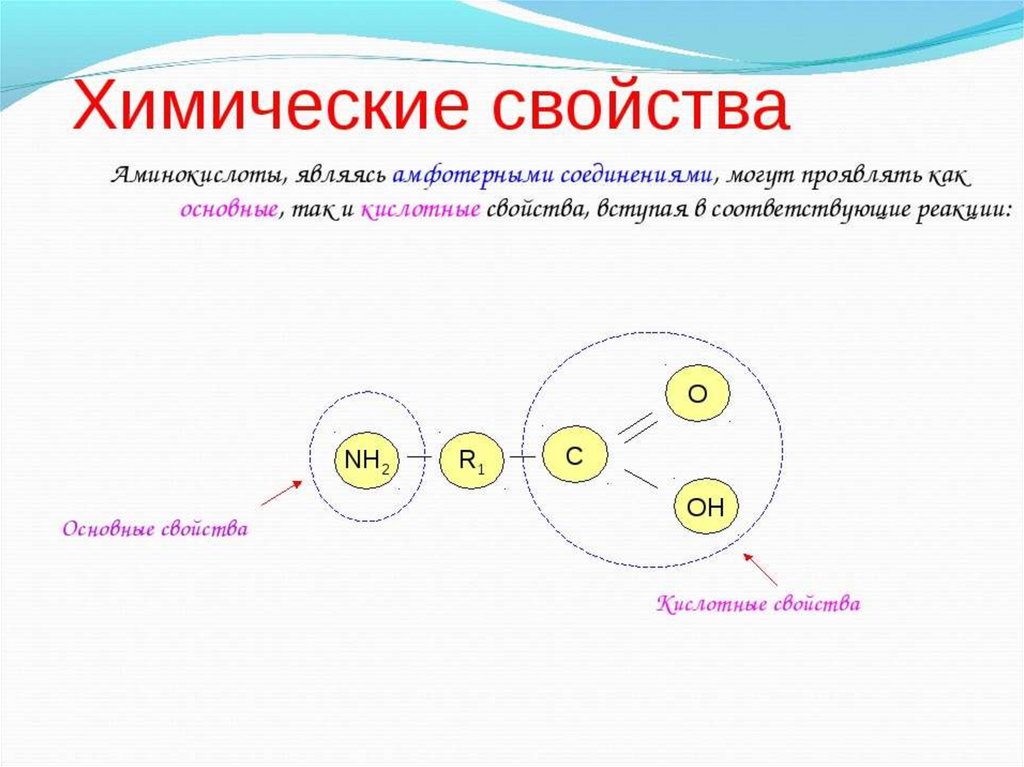 Презентация по химии аминокислоты