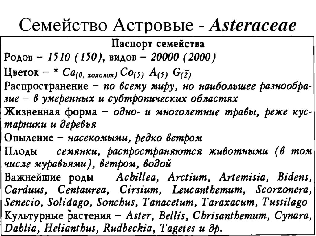 Описание семейства сложноцветные по плану 6 класс