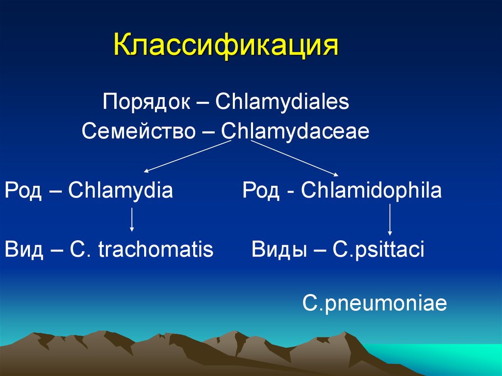 Классификация порядок. Chlamydia классификация. Хламидии семейство род вид. Хламидии систематика. Chlamydia виды систематика.