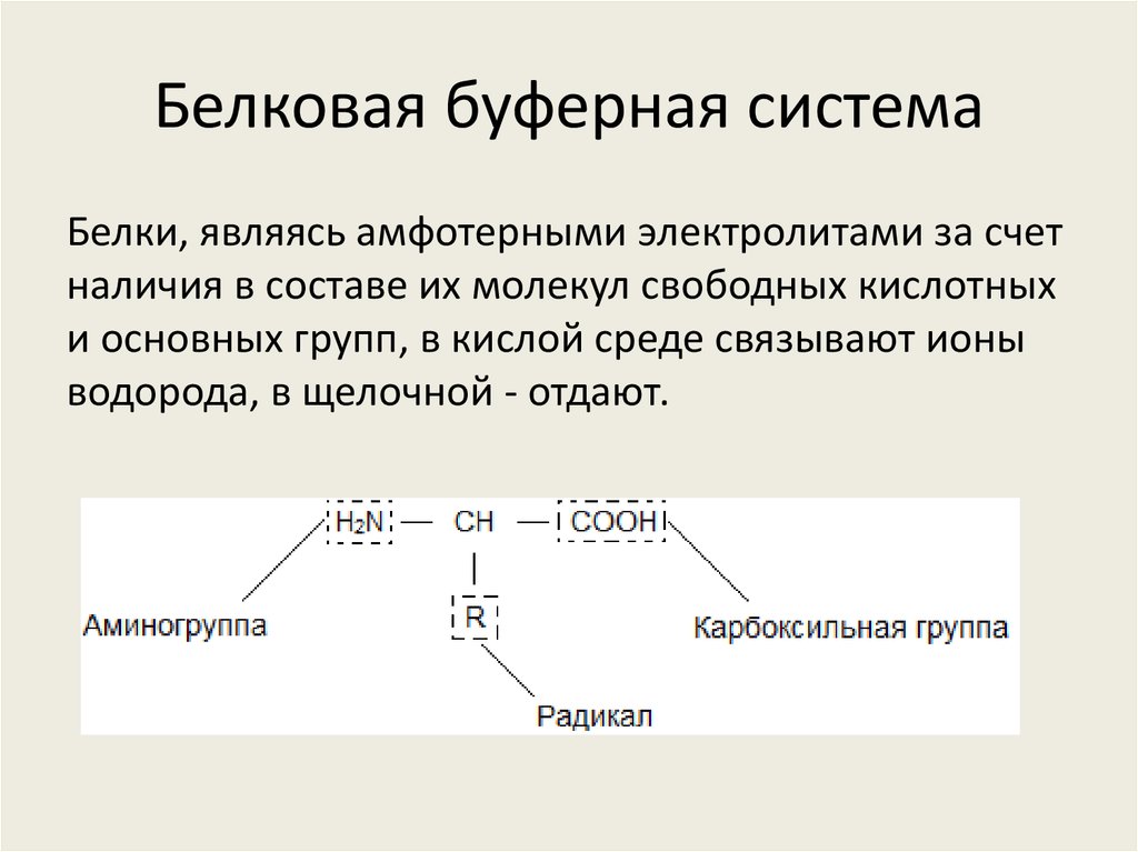 Презентация буферные системы