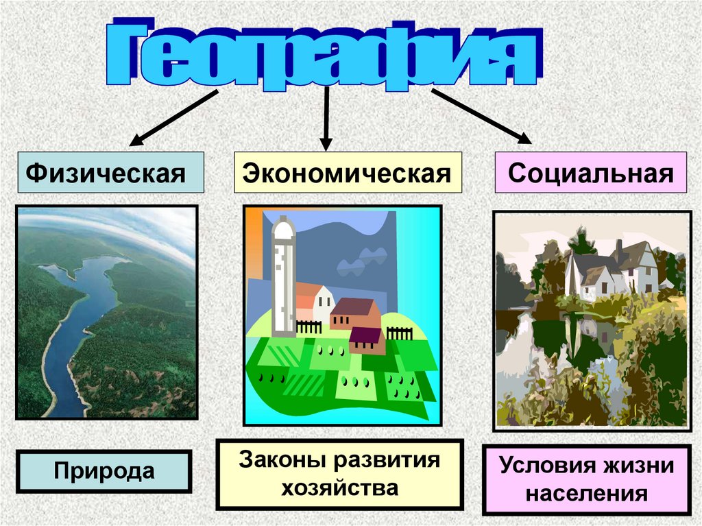 Проект что такое география