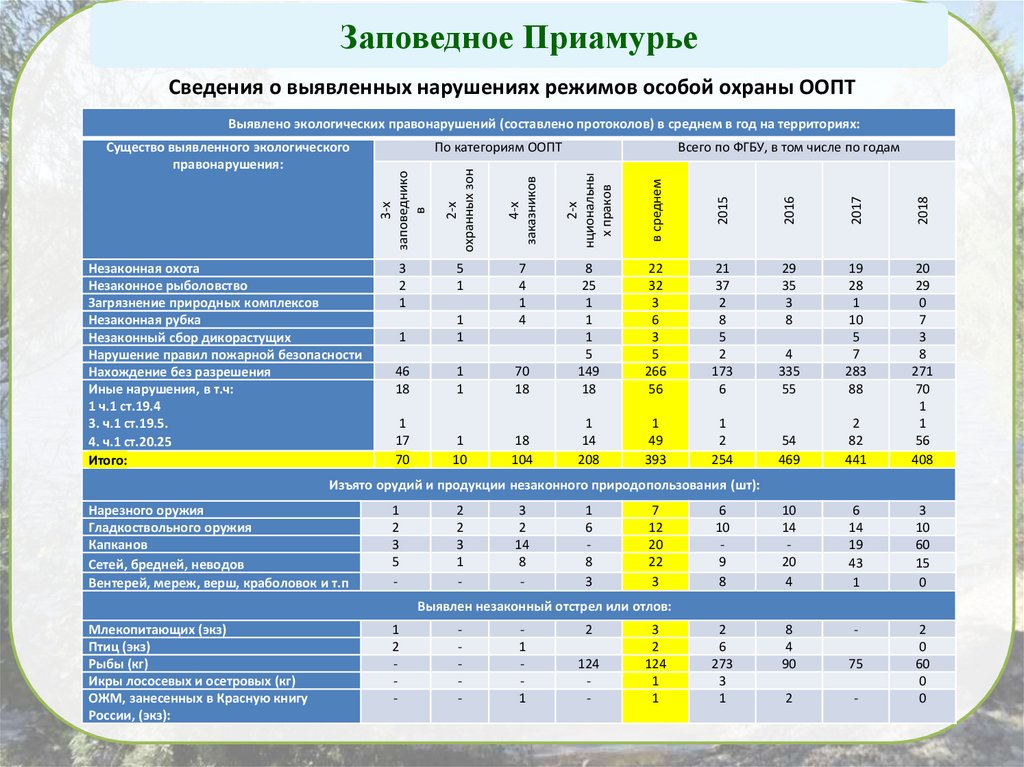 Заповедное приамурье