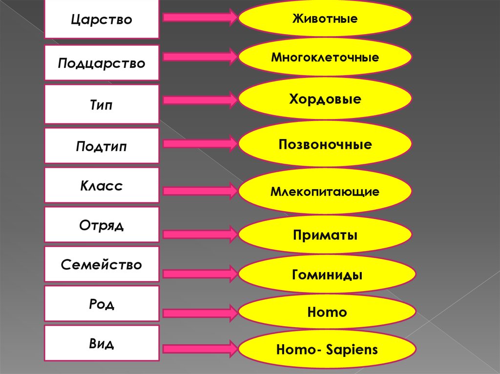 Близкий родственник 4 буквы