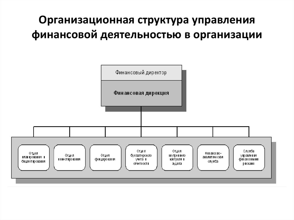 Организационная структура управления финансовой деятельностью в организации