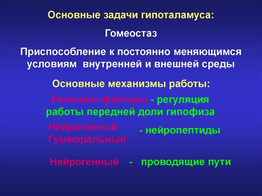 Факторы регуляции. Нейропептиды гипоталамуса. Гипоталамус гомеостаз. Нейрогенная регуляция. Проводящие пути гипоталамуса.