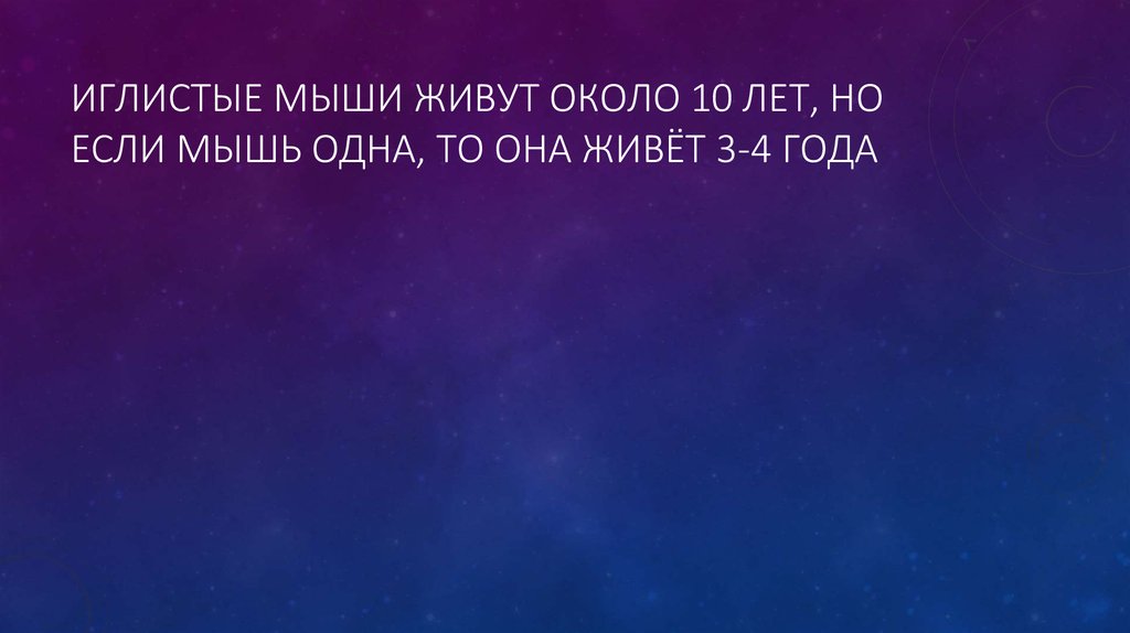 Иглистые мыши живут около 10 лет, но если мышь одна, то она живЁт 3-4 года