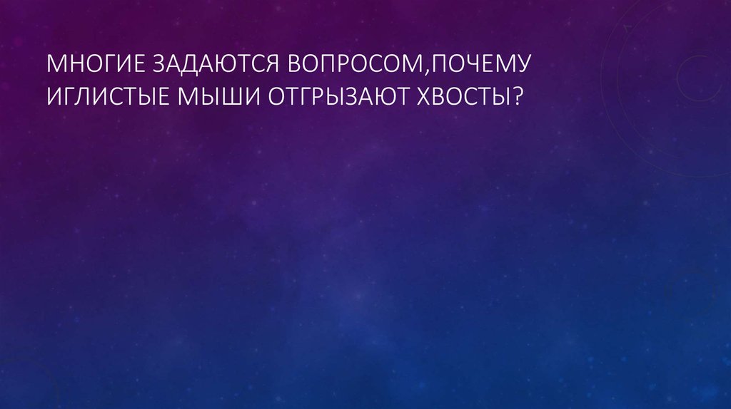 Многие задаются вопросом,почему иглистые мыши отгрызают хвосты?