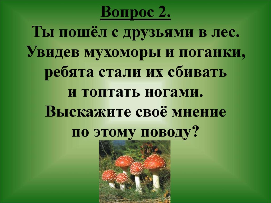 5 июня всемирный день окружающей среды презентация