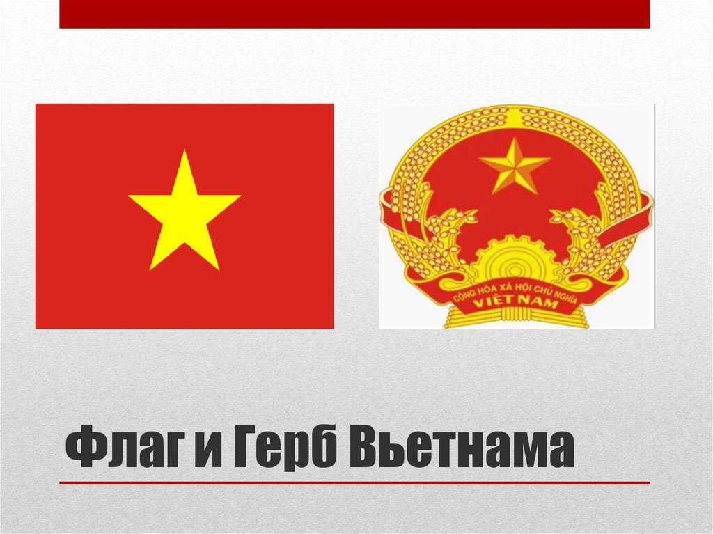 Флаг и Герб Вьетнама