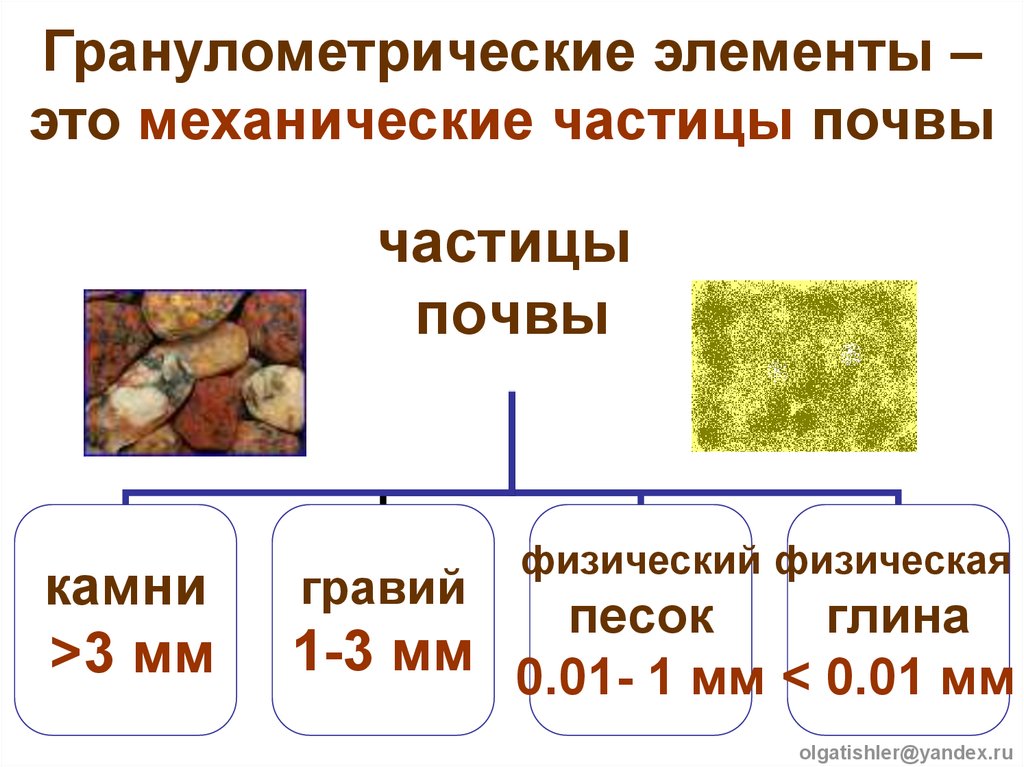 Частицы почвы